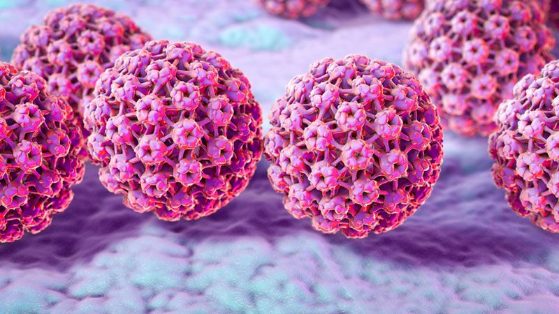 wirus HPV na powierzchni skóry - wizualizacja